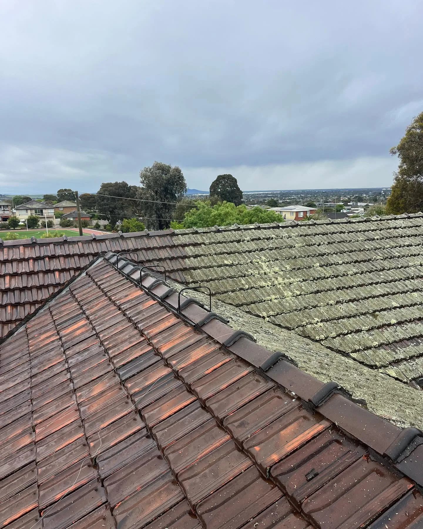 Overcast ridge-line view of a terracotta tile roof mid-clean, clean tiles on one side and lichen-covered tiles on the other, with town views behind