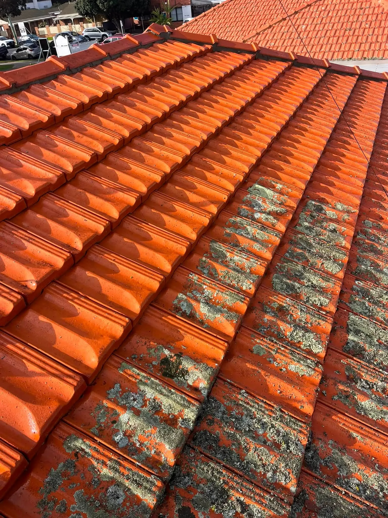 Terracotta tile roof mid-clean, bright orange cleaned tiles contrasted against lichen-covered tiles still to be treated