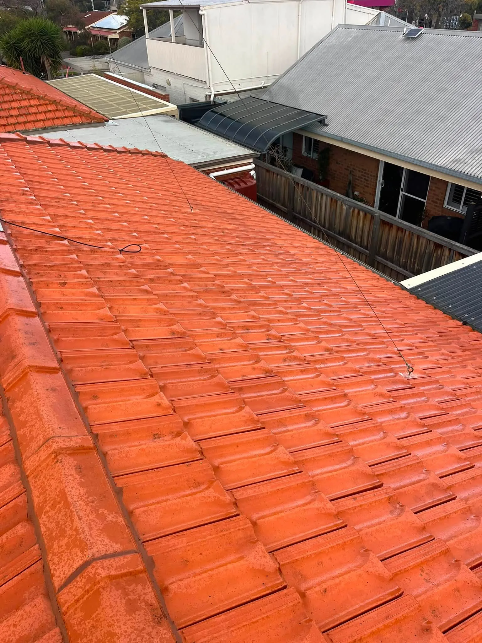 Freshly cleaned terracotta tile roof with a bright, glossy finish, overlooking a residential laneway